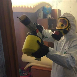 Уничтожение клопов в квартире. Деловой центр